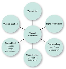 Introduction - Wound Care Center NYC at Weill Cornell Medical Center